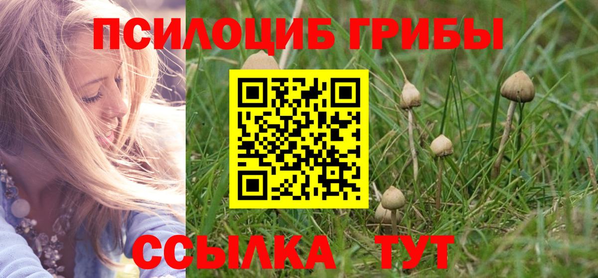 Благодарный  Галлюциногенные грибы Psilocybine cubensis  Вход с VPN 