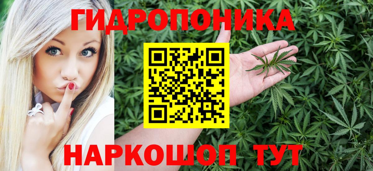 Бошки Шишки Bruce Banner  Бошки марихуана индика  Благодарный  Вход с VPN 
